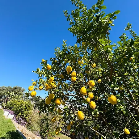 Homestay Prana Marbella Ojen